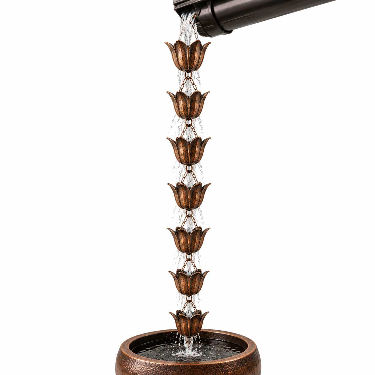7 Cup Tulip Metal Rain Chain with Copper Bronze Finish